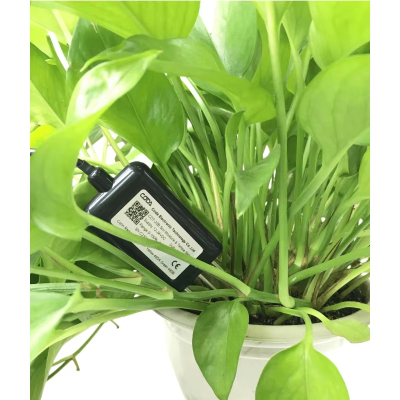 RS485 4-20mA Portable Soil Moi - Temperature Humidity Sensor incelemesi ve fiyatı