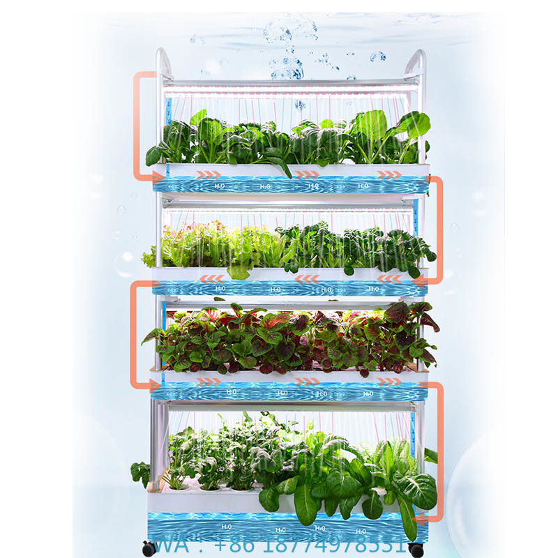 ydroponic Planting System Smar - Smart Home Automation Diy incelemesi ve fiyatı