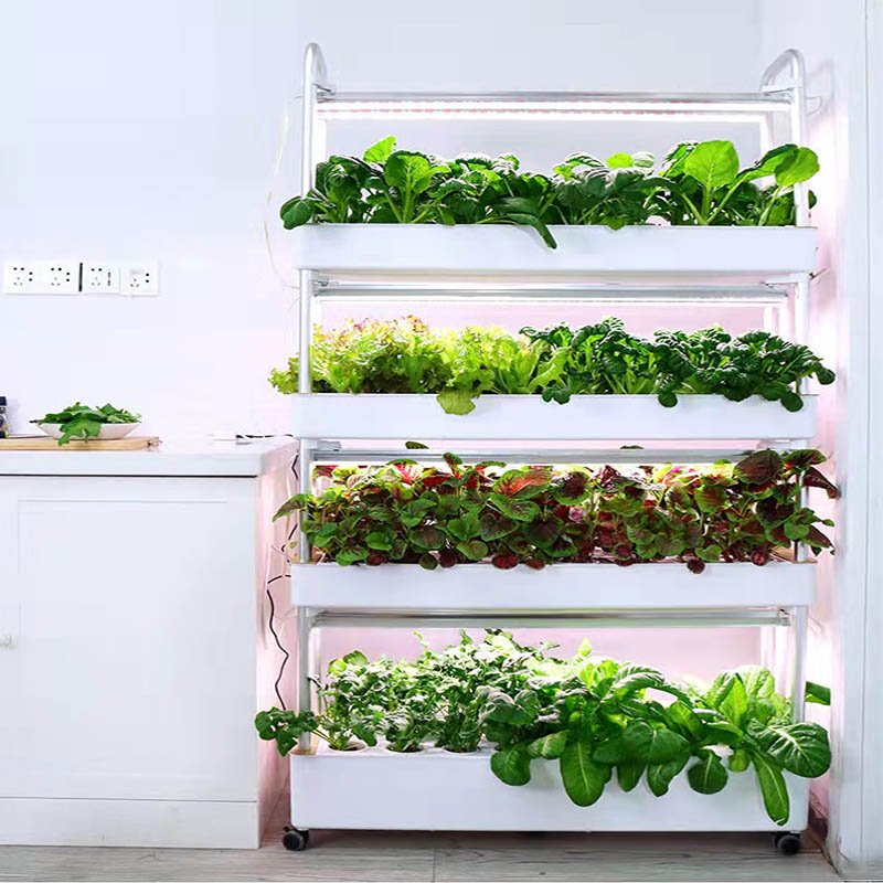 ydroponic Planting System Smar - Smart Home Automation Diy incelemesi ve fiyatı