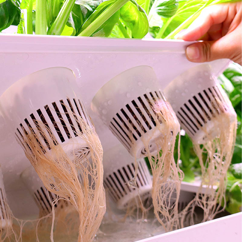 ydroponic Planting System Smar - Smart Home Automation Diy incelemesi ve fiyatı