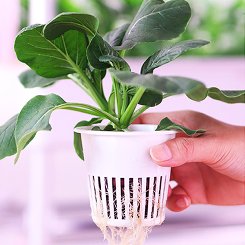 ydroponic Planting System Smar - Smart Home Automation Diy incelemesi ve fiyatı